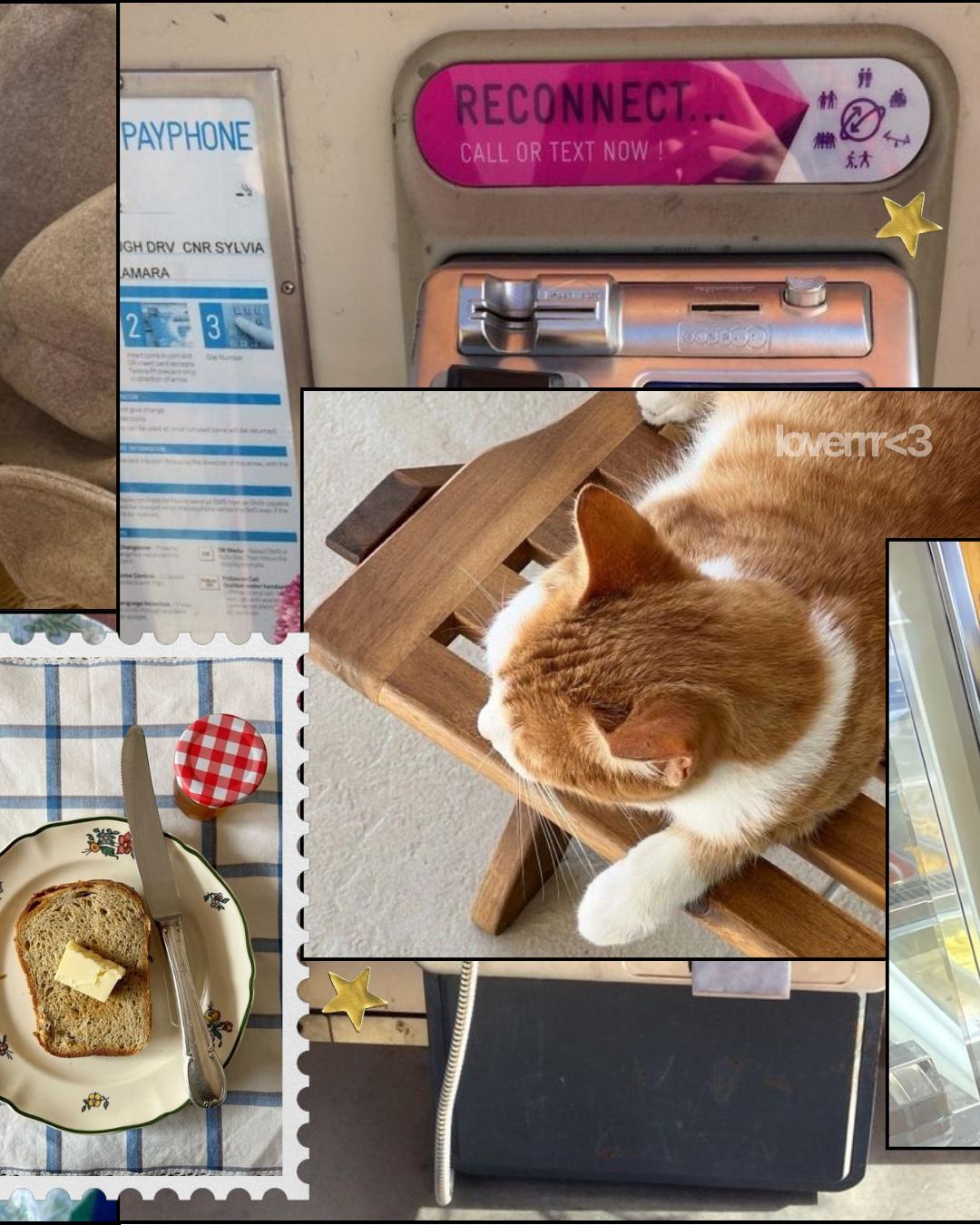 Seamless Minimal Instagram Carousel